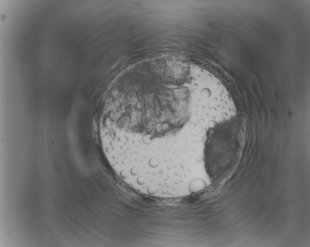 X0000066540523200603311848