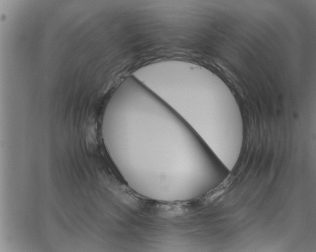 X0000066540524200603311848