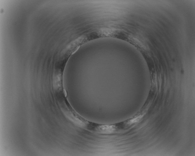 X0000066540526200603311848