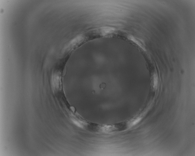 X0000066540527200603311848