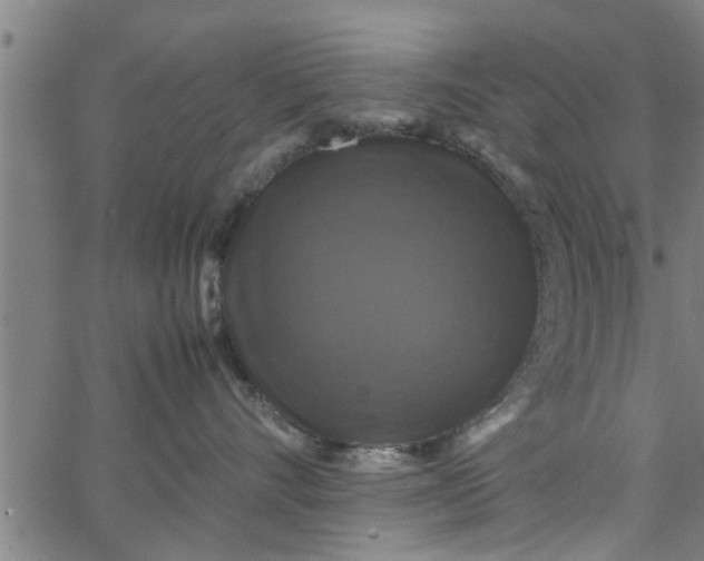 X0000066540528200603311848