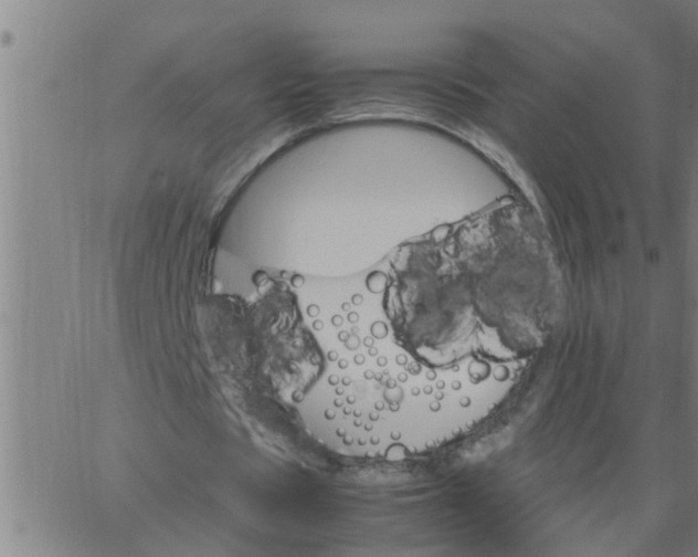 X0000066540529200603311847