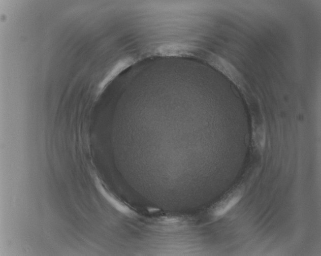 X0000066540530200603311847