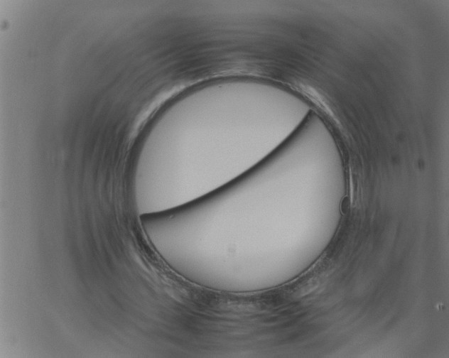 X0000066540531200603311847