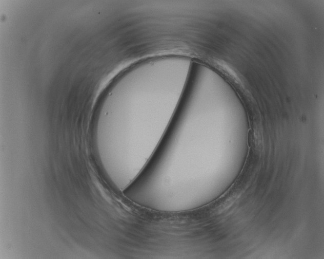 X0000066540532200603311847