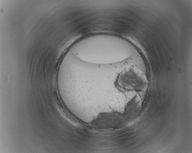 X0000066540533200603311847