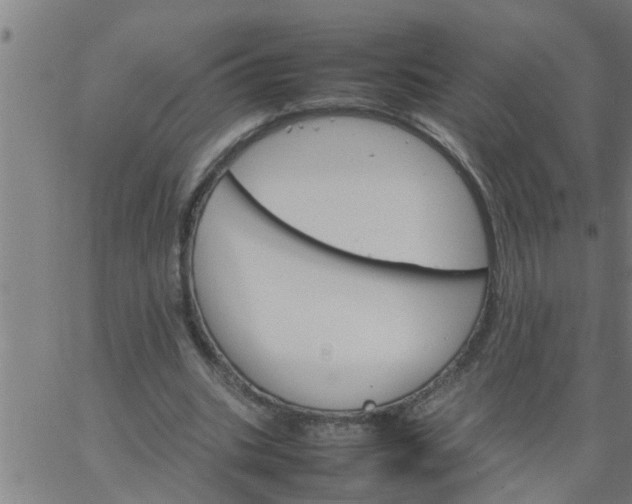 X0000066540535200603311847