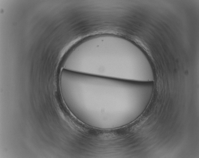 X0000066540536200603311847