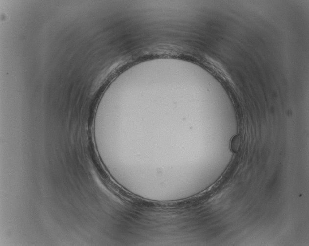 X0000066540538200603311847