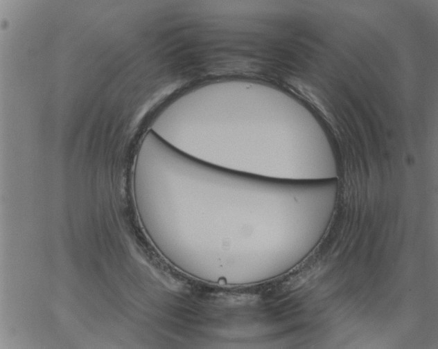 X0000066540539200603311847