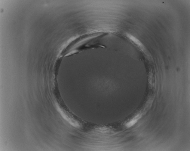 X0000066540540200603311847