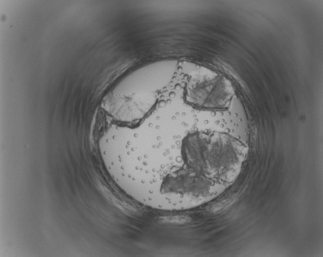 X0000066540541200603311847