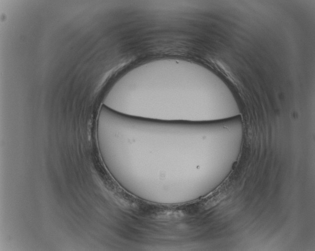 X0000066540543200603311847