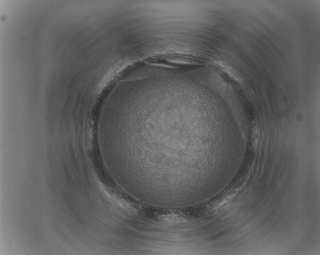 X0000066540544200603311847