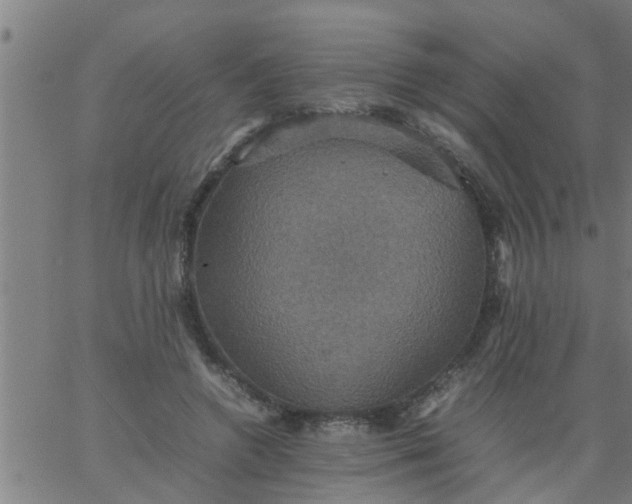 X0000066540546200603311847