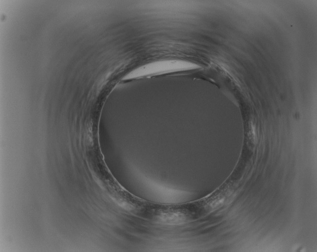 X0000066540547200603311847