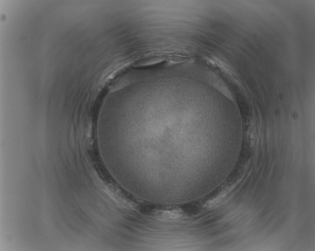 X0000066540548200603311847