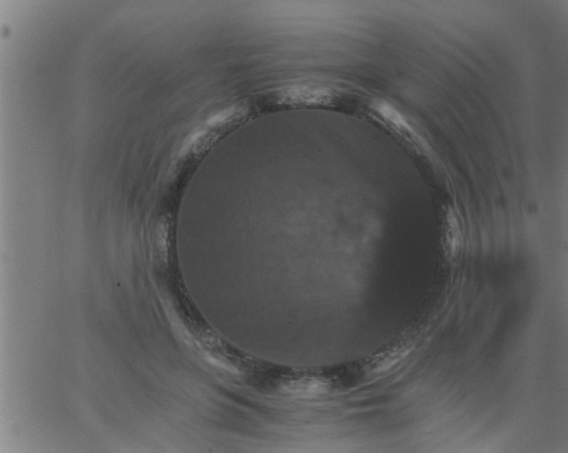 X0000066540551200603311847