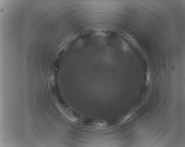 X0000066540552200603311847