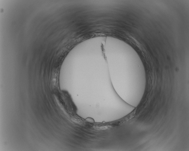 X0000066540553200603311847