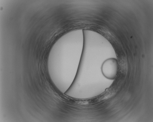 X0000066540554200603311848