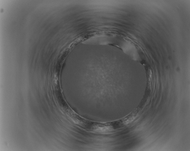 X0000066540555200603311848