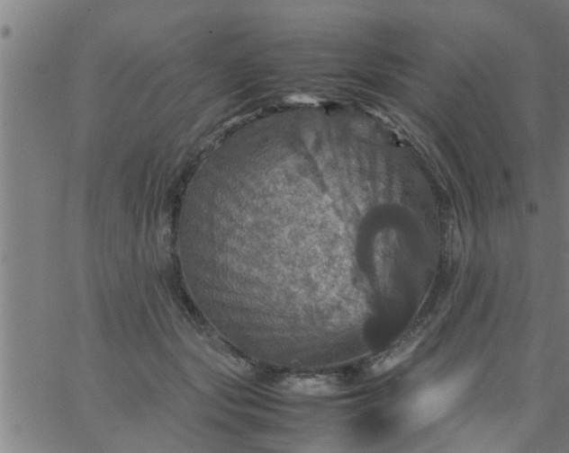 X0000066540557200603311848