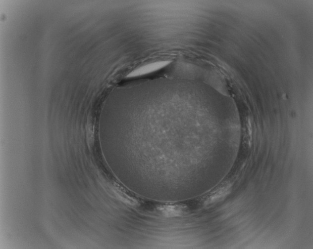 X0000066540558200603311848