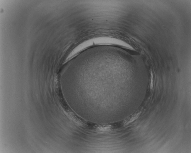 X0000066540560200603311848