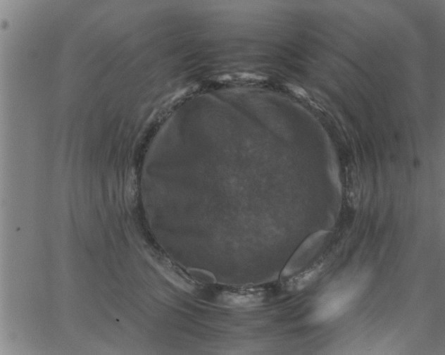 X0000066540563200603311848