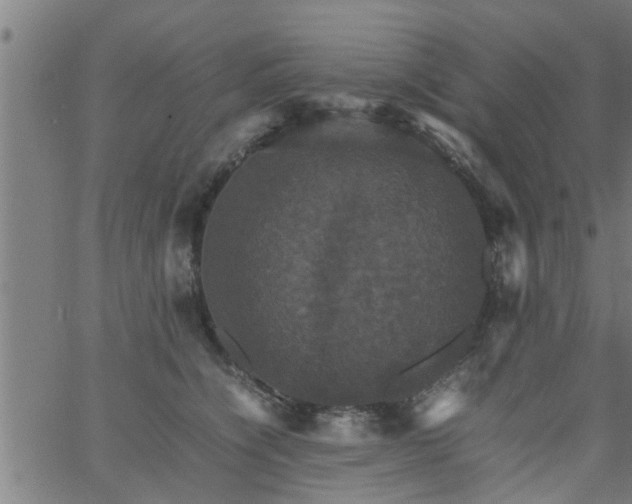 X0000066540564200603311848