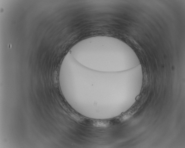 X0000066540565200603311848