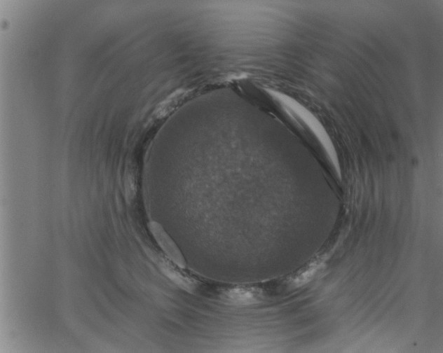 X0000066540566200603311848