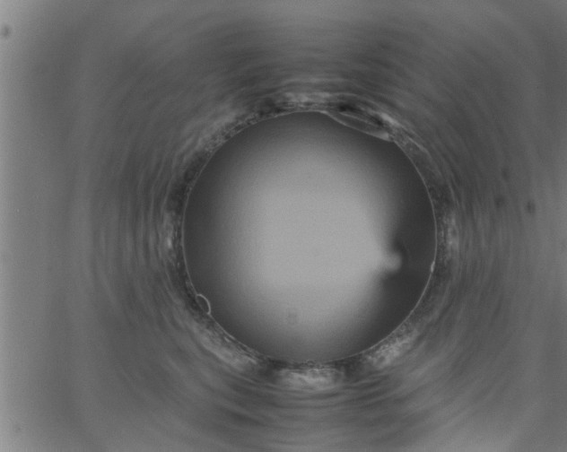 X0000066540567200603311848