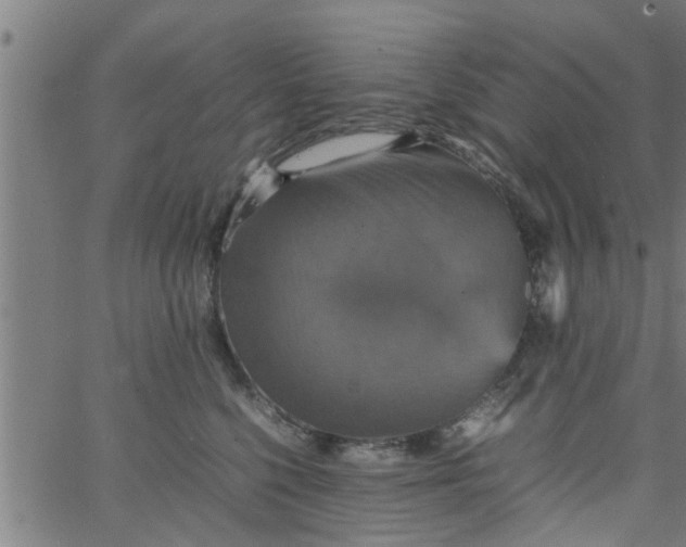 X0000066540568200603311848