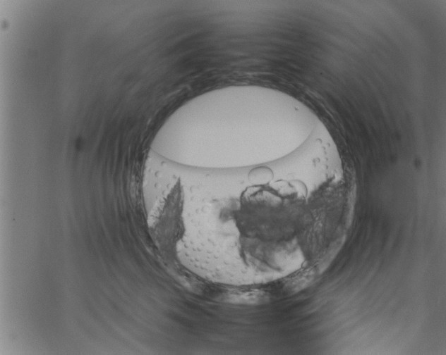 X0000066540569200603311848