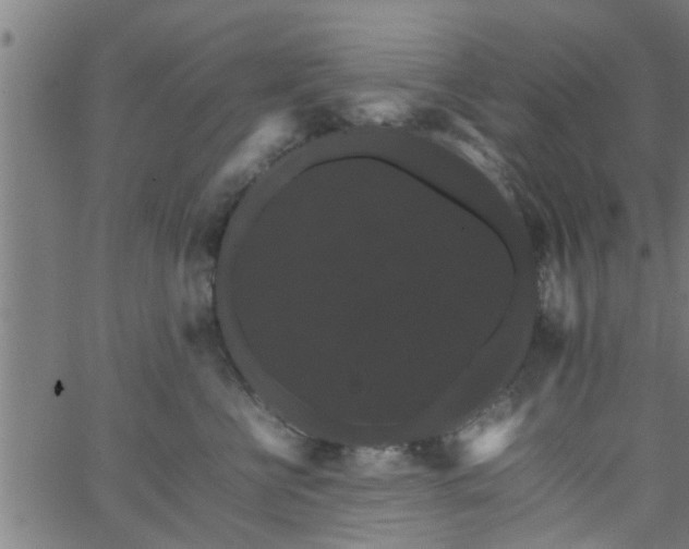 X0000066540570200603311848