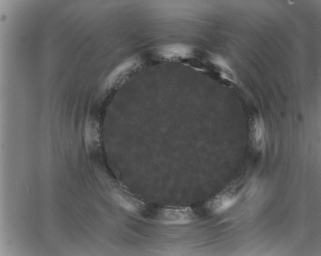 X0000066540571200603311848