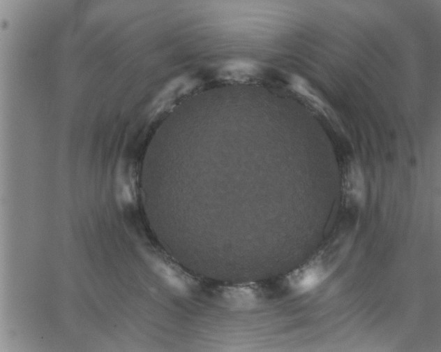 X0000066540572200603311848