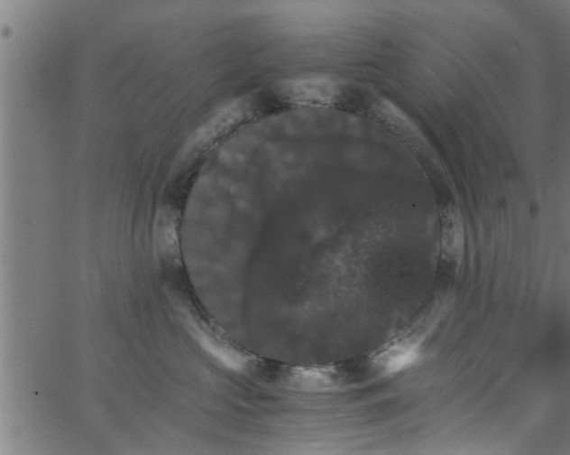 X0000066540573200603311848