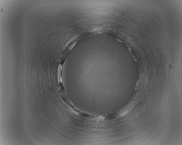 X0000066540576200603311848