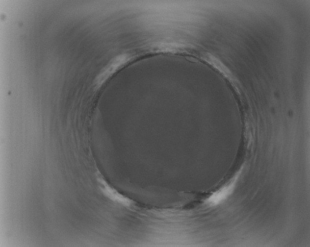 X0000066540577200603311847