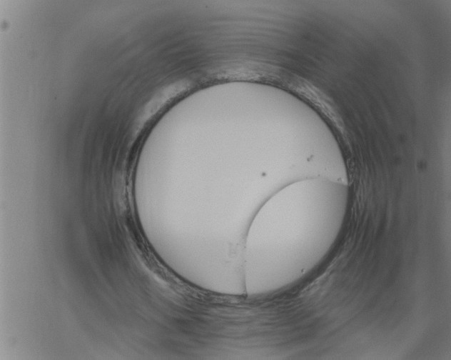 X0000066540578200603311847