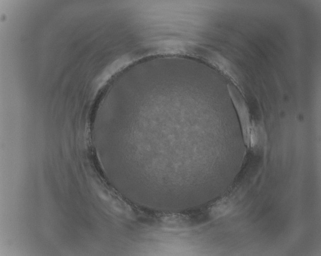 X0000066540579200603311847