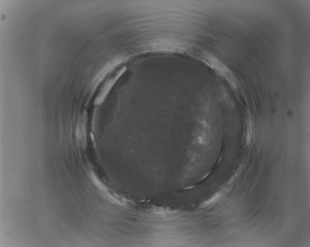 X0000066540580200603311847