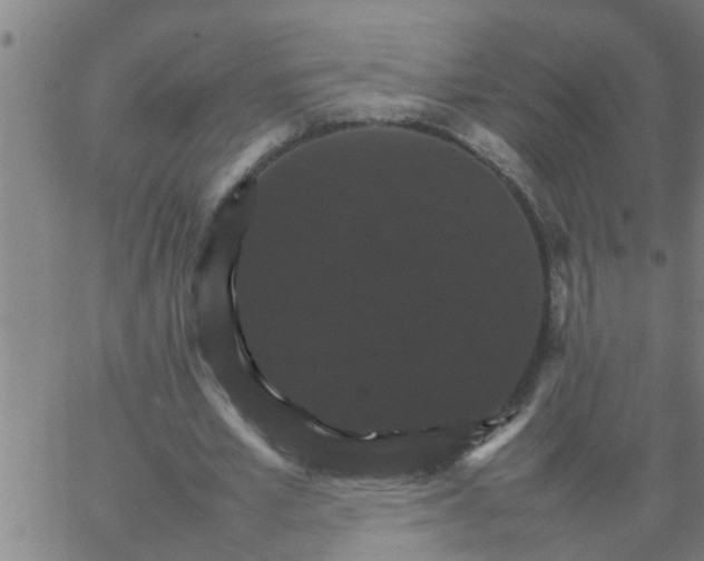 X0000066540581200603311847