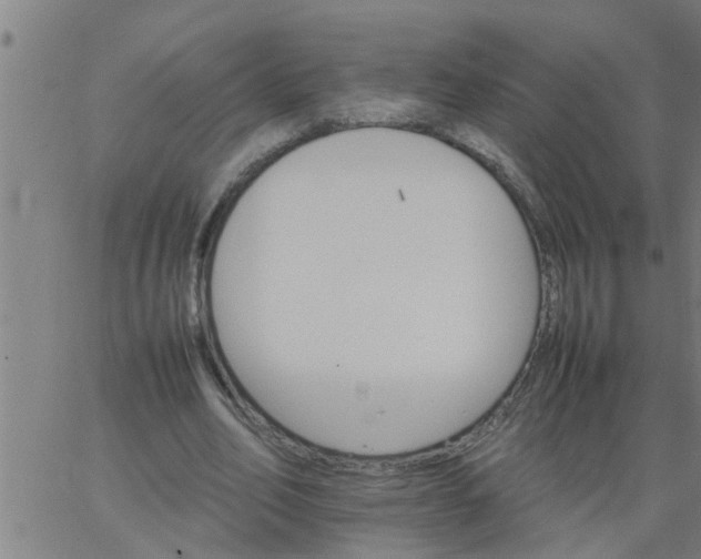 X0000066540582200603311847