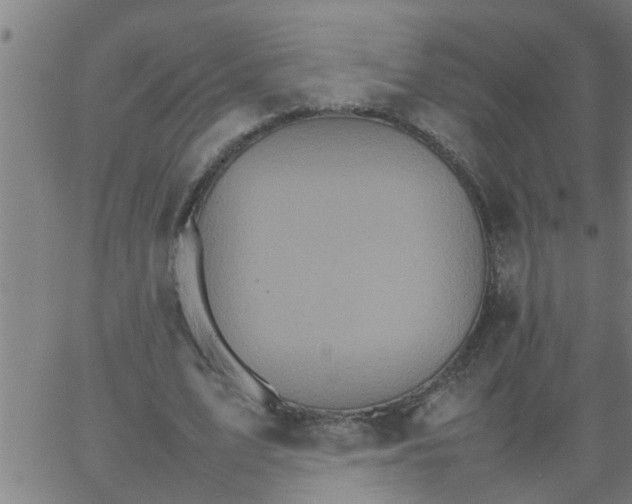 X0000066540583200603311847