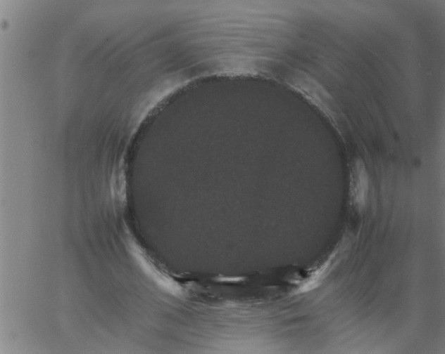 X0000066540584200603311847