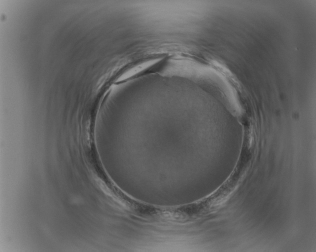 X0000066540585200603311847